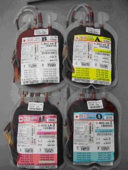 輸血パック写真